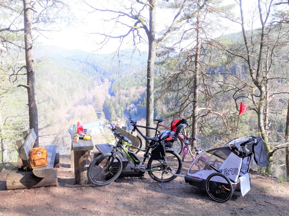 Ferienwohnung Traexler Thanstein Екстериор снимка
